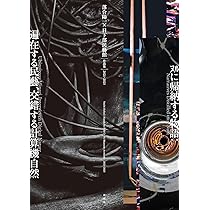 波と景 | 落合 陽一 |本 | 通販 | Amazon